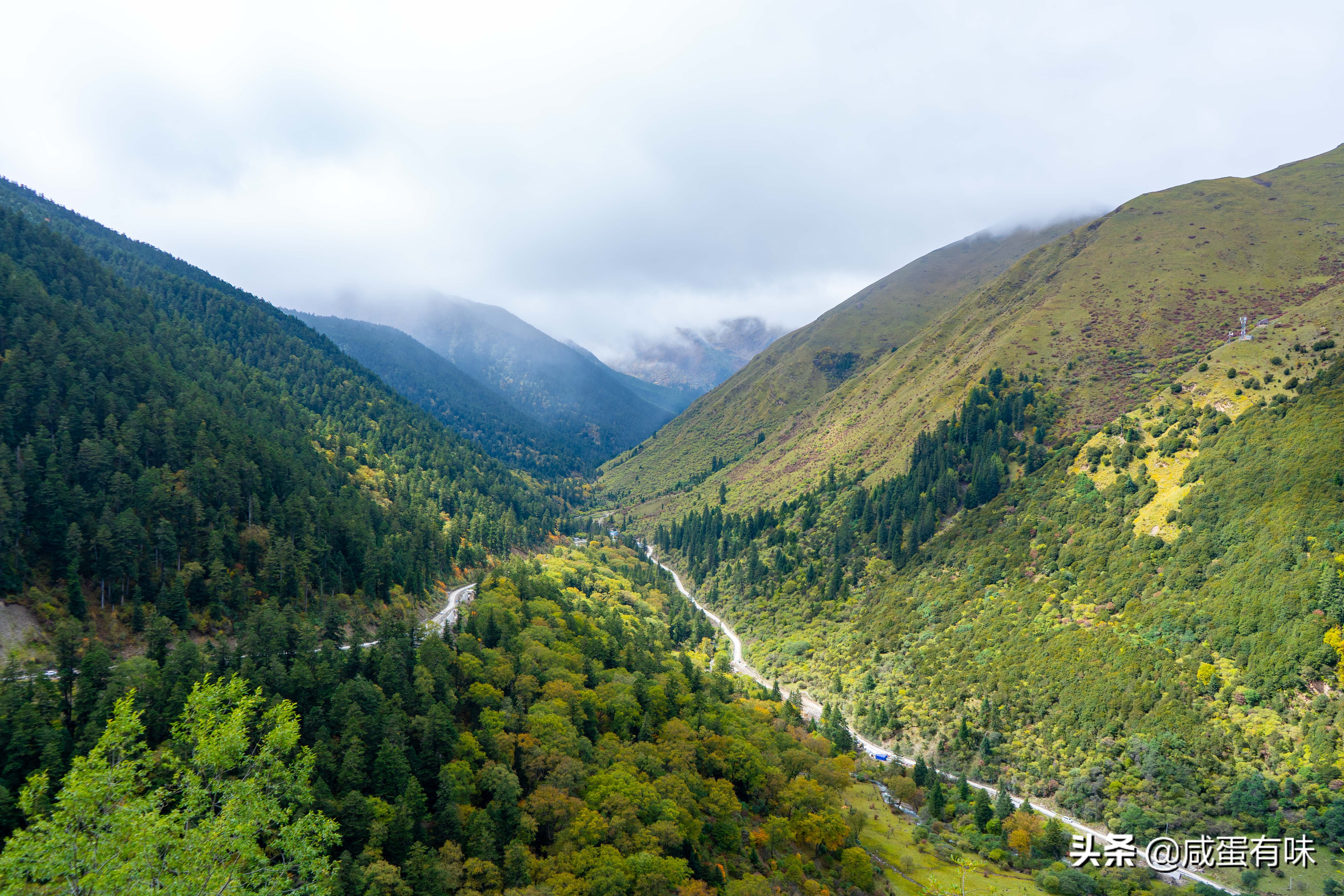 你好，夹金山：让我遇见不一样的你