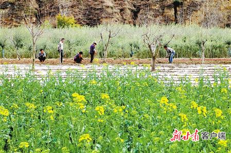 【决战决胜脱贫攻坚】书写决战脱贫攻坚的春天答卷——甘肃全力推进脱贫攻坚任务落实纪实