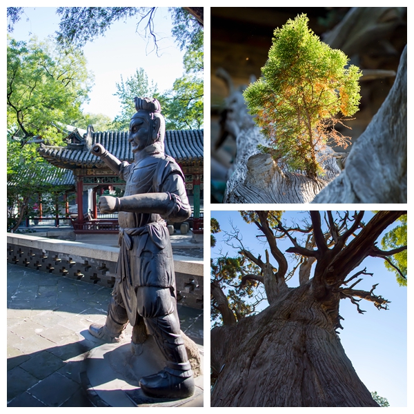 晋西北音乐歌曲,晋西北会议