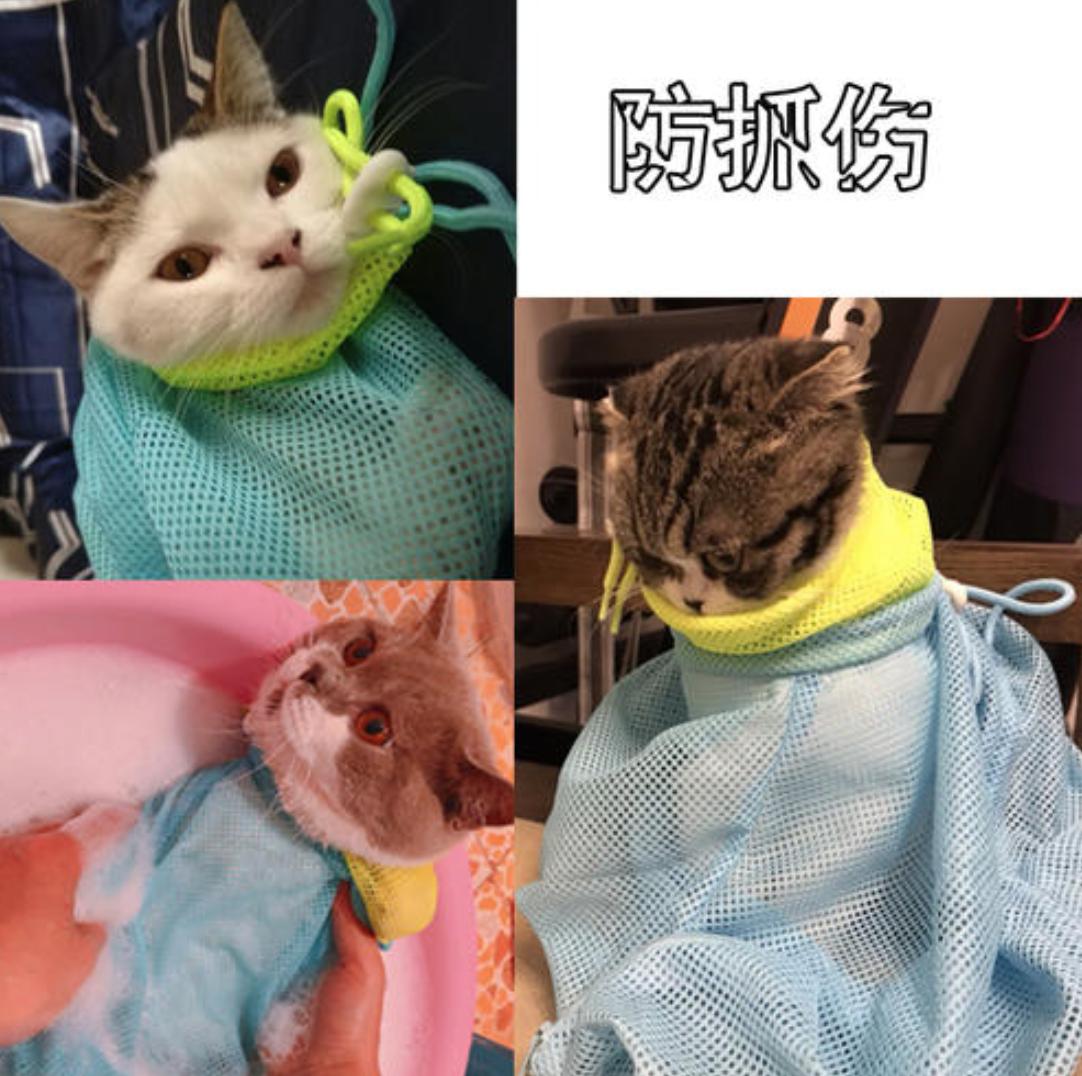 给猫咪喂药之后不粘人了,给猫咪喂药都几毫升