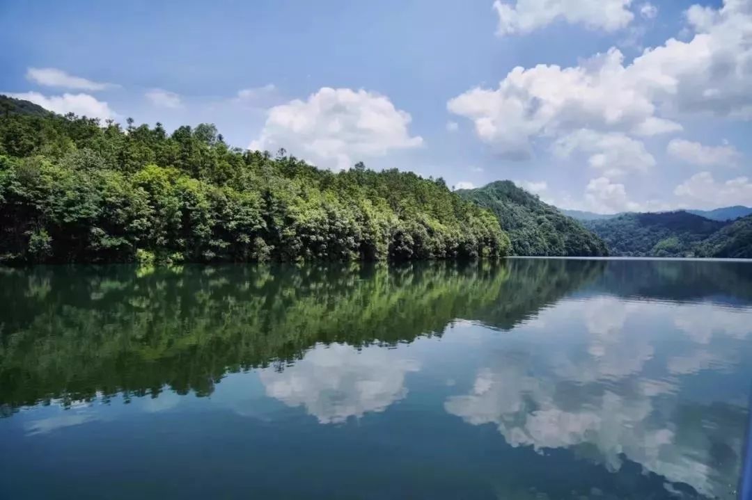 武夷山德懋堂|270万起旅居武夷山临溪别墅，遍访先贤遗迹！看云海、逛古村、品香茗，每天都生活在山水画中