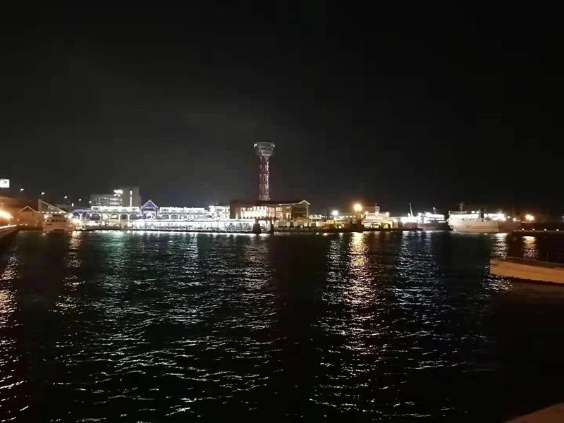 日本九州大学课程,日本九州大学怎么申请