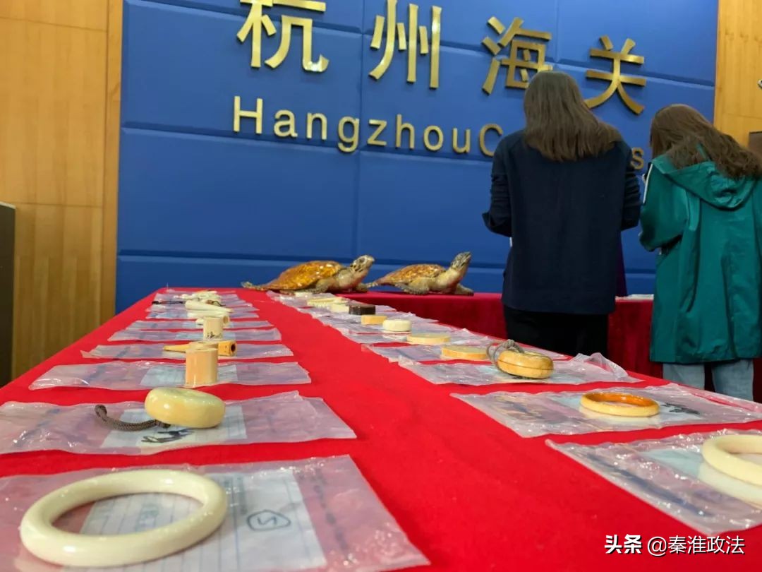 除了大象有谁能打过老虎,除了大象还有哪个动物不得癌症