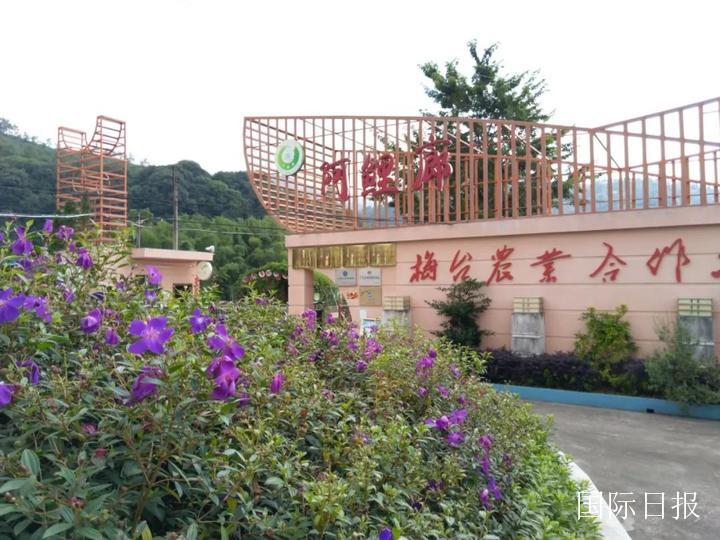 诗画梅江梅州,诗画梅江绘画作品