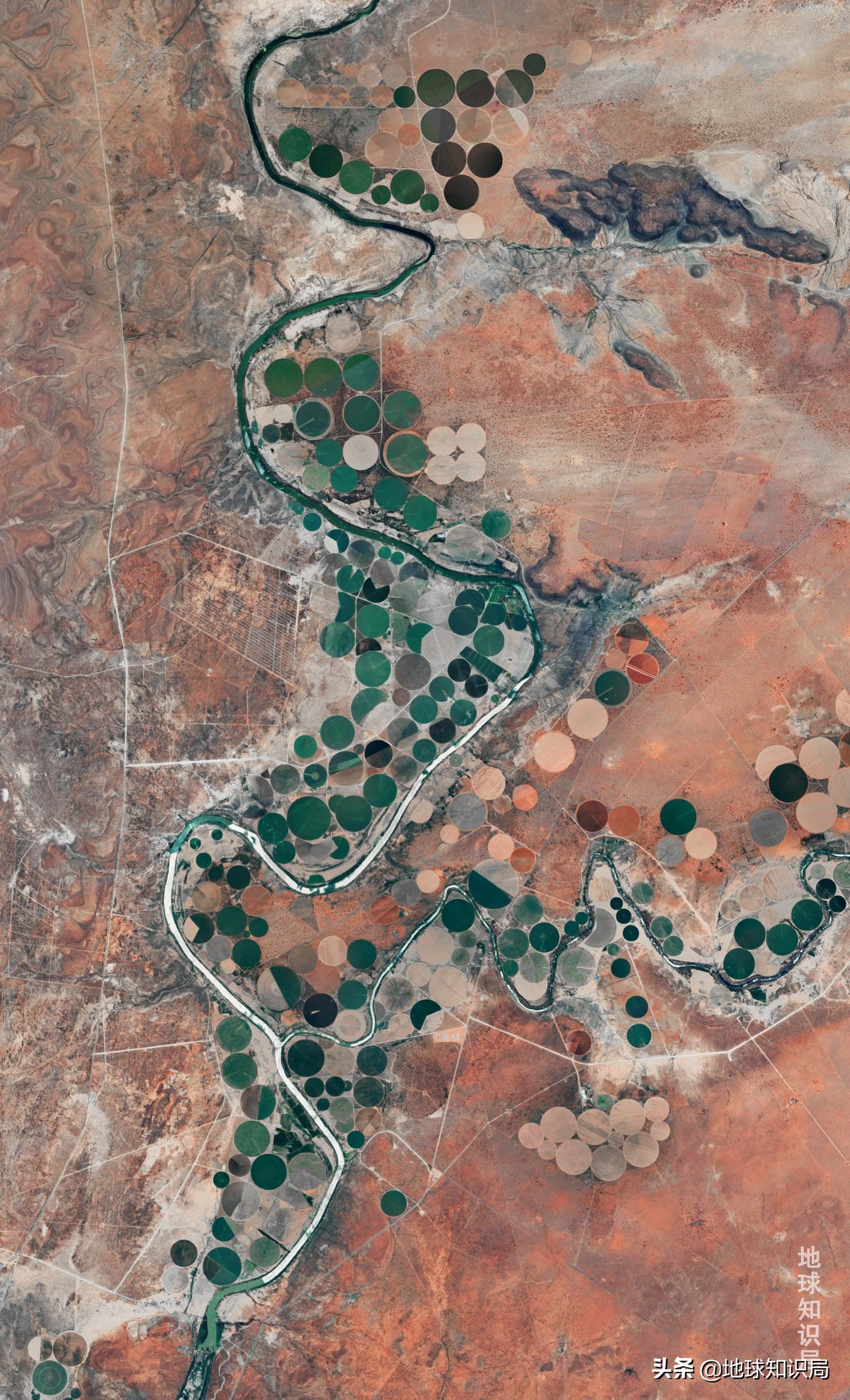 非洲，正在挨饿，无人关心|地球知识局