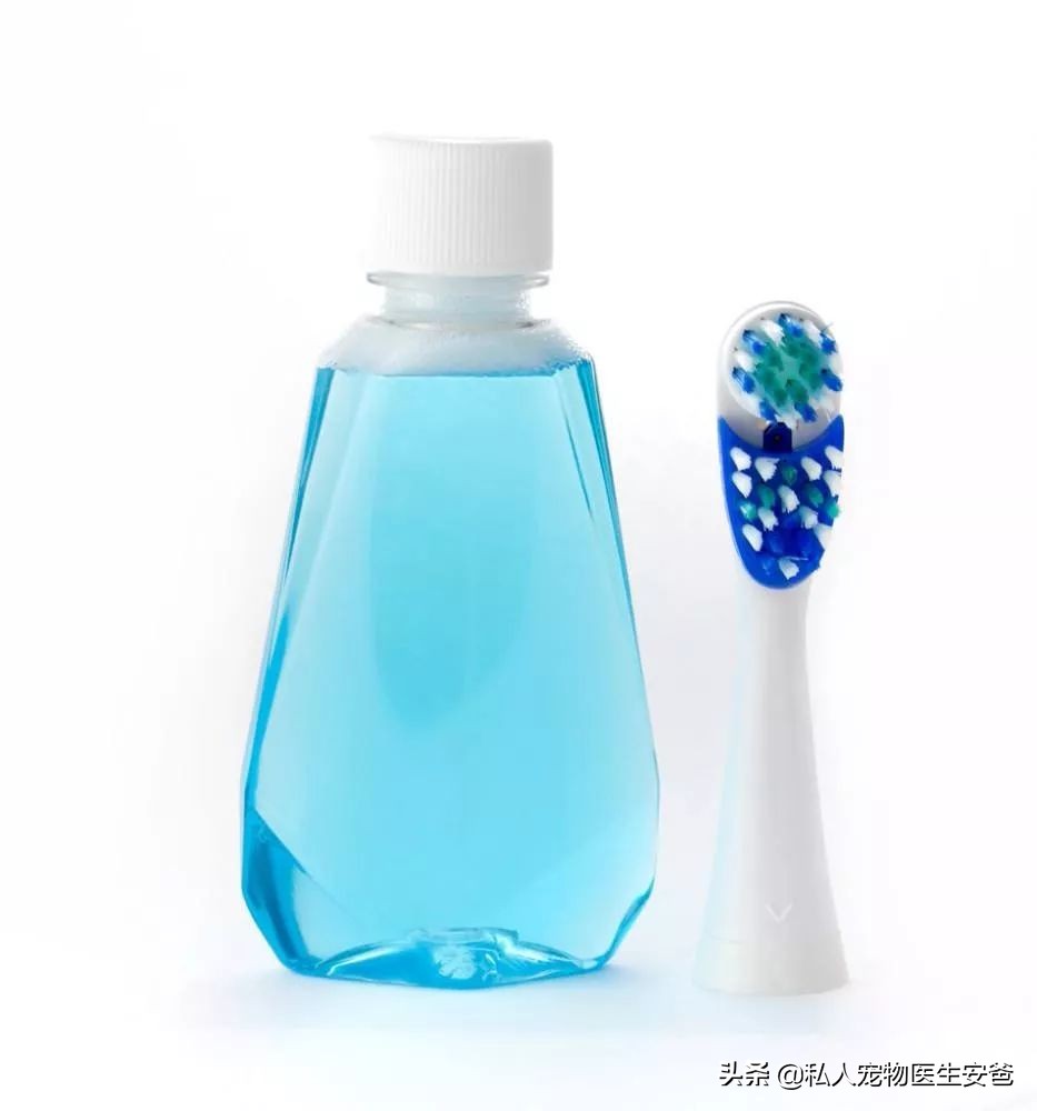 我们经常使用的护肤品，对猫咪有害吗？