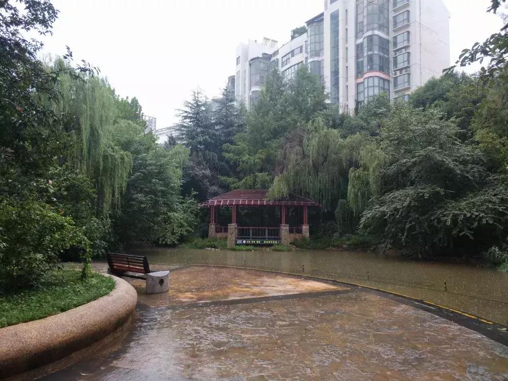 高新学区房和学位房有啥区别,鸿园小区是学位房还是学区房