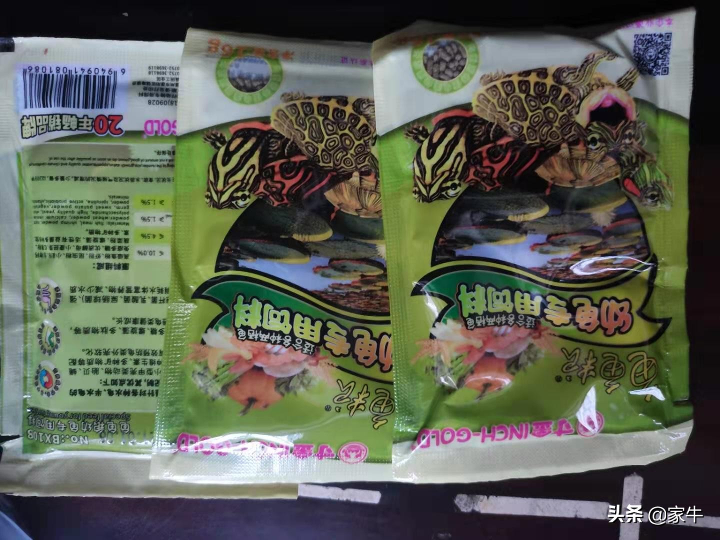 家牛的宠物龟、草金鱼、仙人球日志第323日