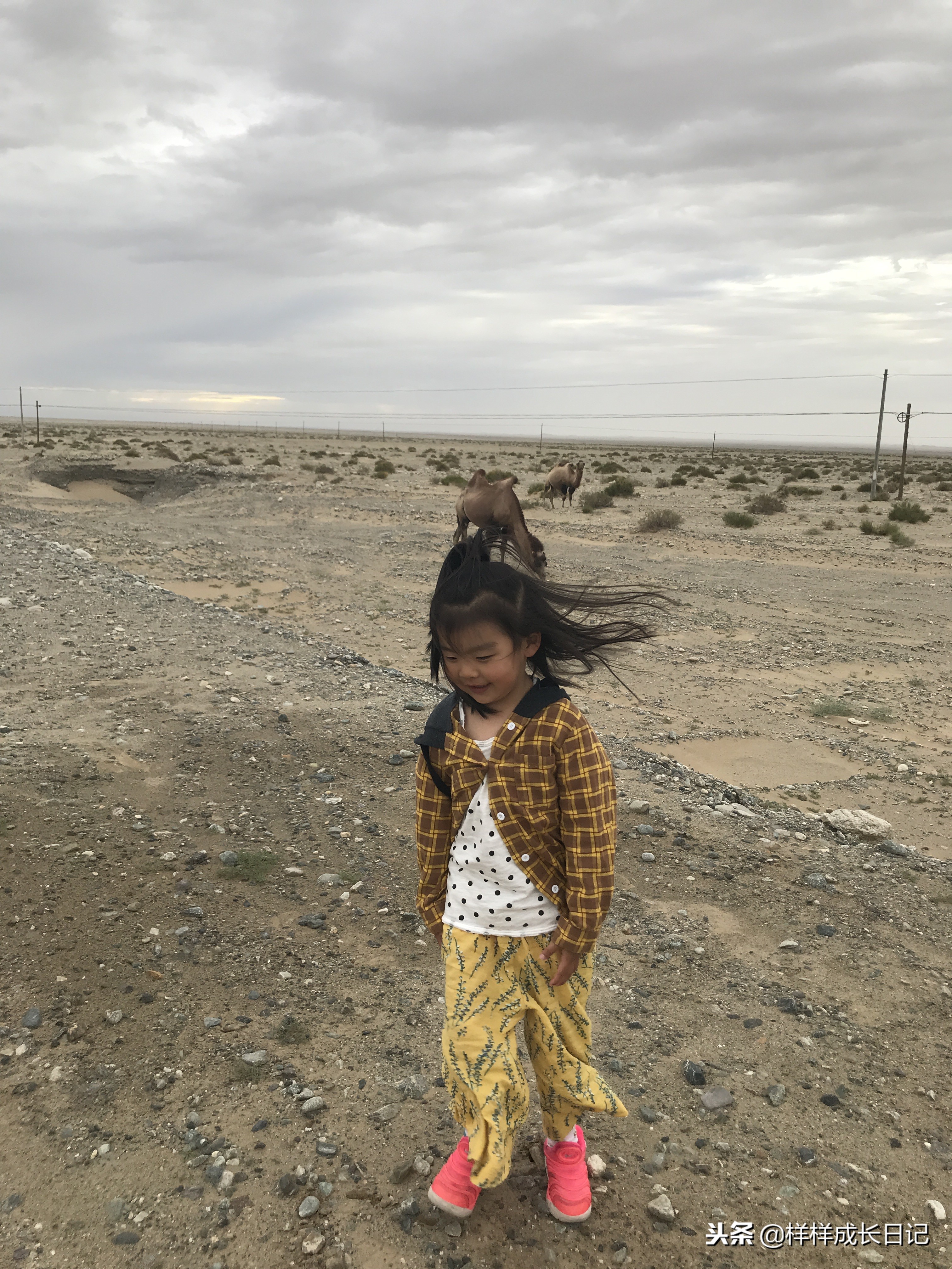 最新版新藏线叶城拉萨骑行攻略,219新藏线自驾游从叶城出发