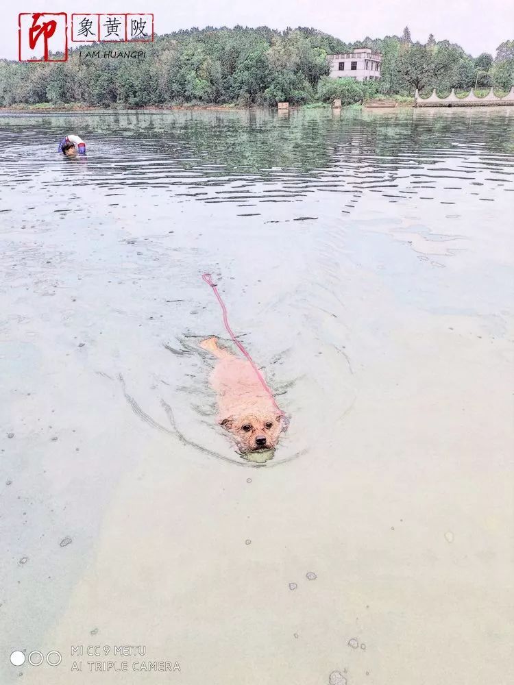 秋湖游泳,武汉木兰湖游泳