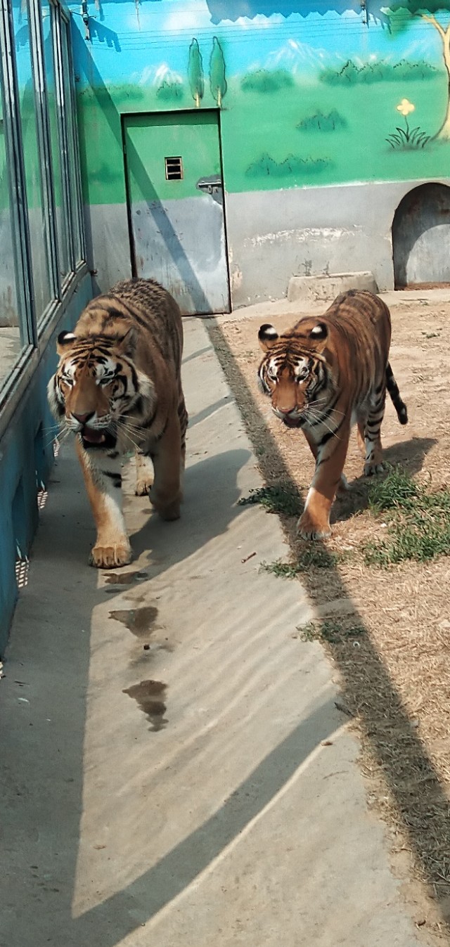 德州动植物园位置,德州动植物园免费吗