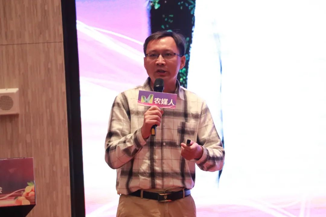 祥云杯武穴第二届创新创业大赛,祥云杯科技