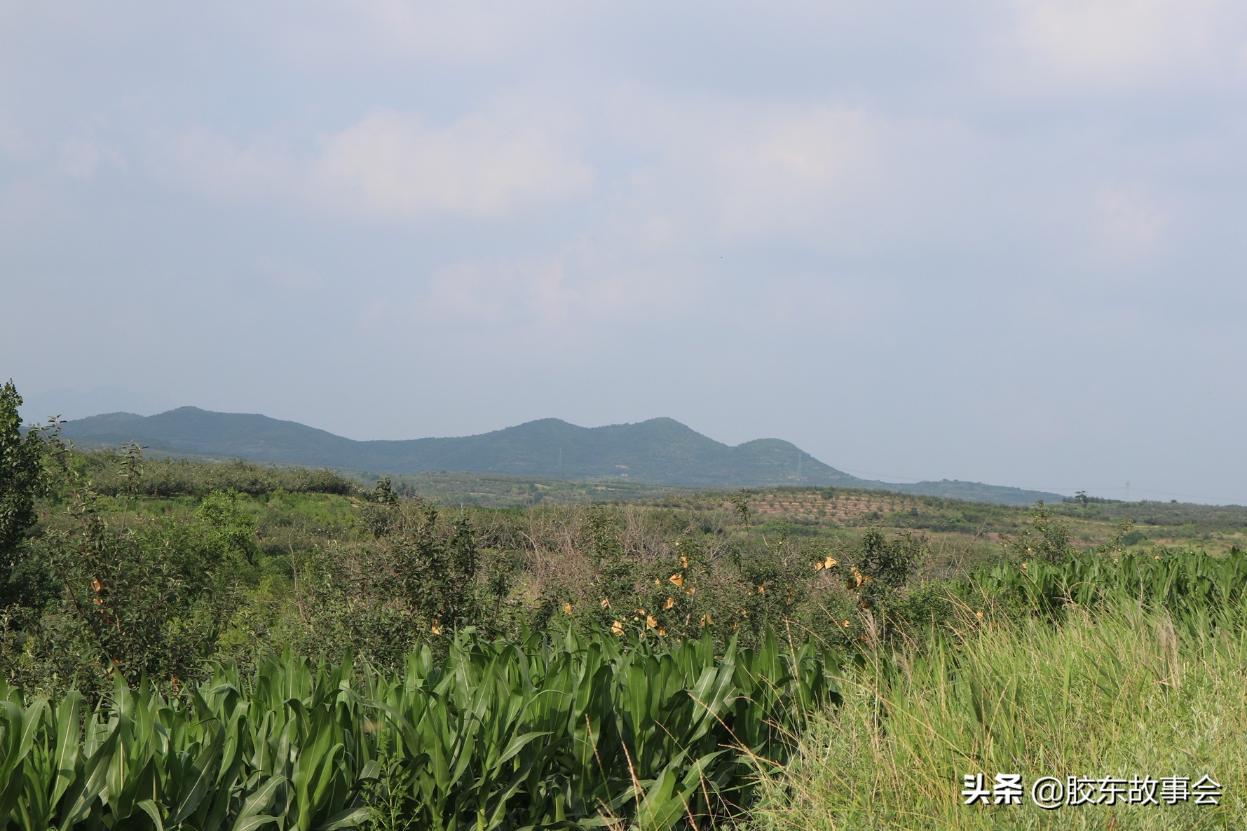 回家的轮渡,烟台大连最好的轮渡