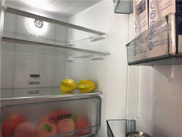 小天鹅电冰箱哪个型号最好,小天鹅冰箱优点与缺点