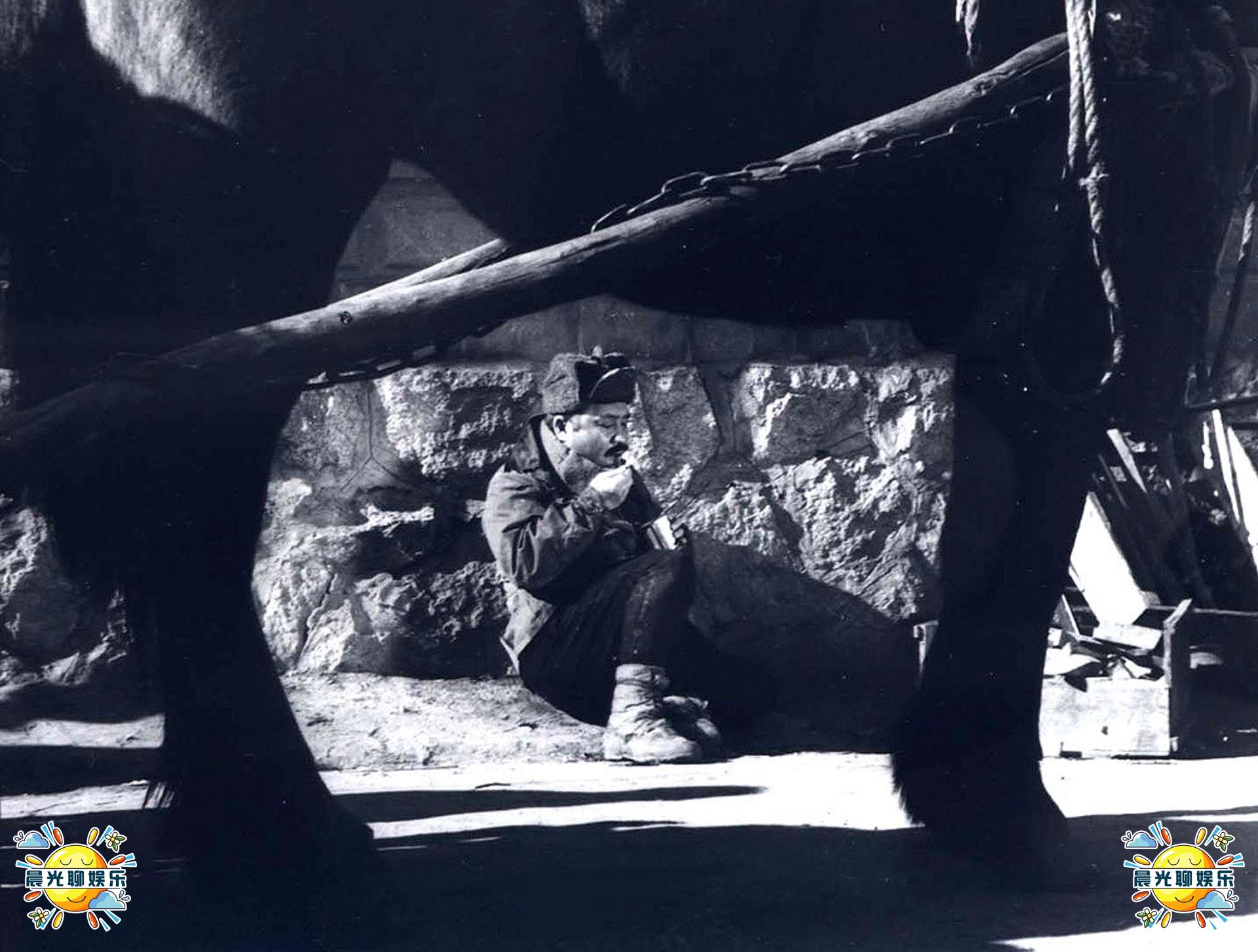 韩国奥斯卡电影寄生虫,盘点2024年以前的韩国电影