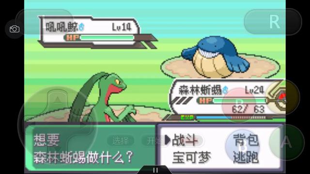 究极绿宝石一周目神兽攻略 (究极绿宝石5一周目能不能mega进化)