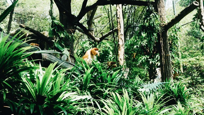 狮城新加坡自由行,新加坡7日游攻略