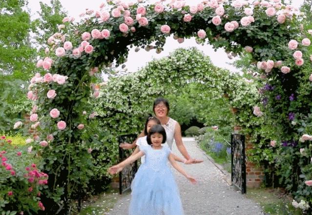 曾是电脑城销售，12年后坐拥60亩私家花园，137万网友跟她看春天