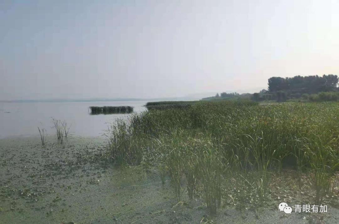 西吴沟村美丽乡村,水乡西吴沟