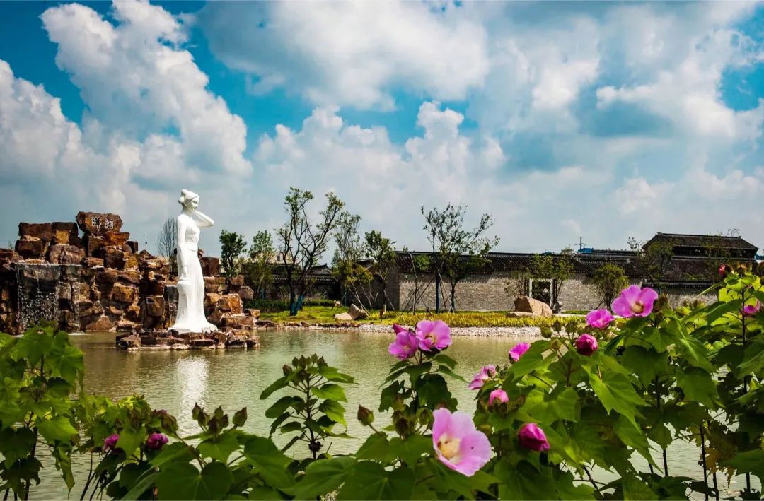 洋河酒哪些值得收藏,洋河酒20年