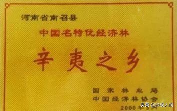 南阳怎样？看完你也会说“中！中！中！”