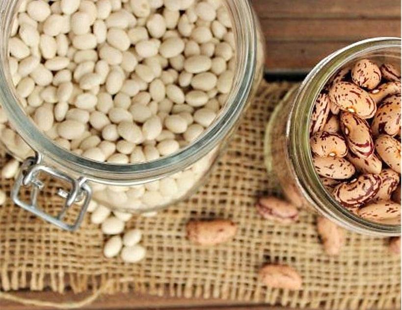 菜种子快速发芽的方法,如何让种子快速发芽我的世界