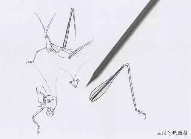 勾线笔每个型号的用处,最常用的勾线笔