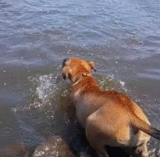 没有套套时,人类为了避孕有多「野」?