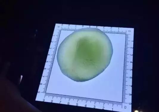 开饺子店赚钱秘诀,卖饺子赚大钱的方法