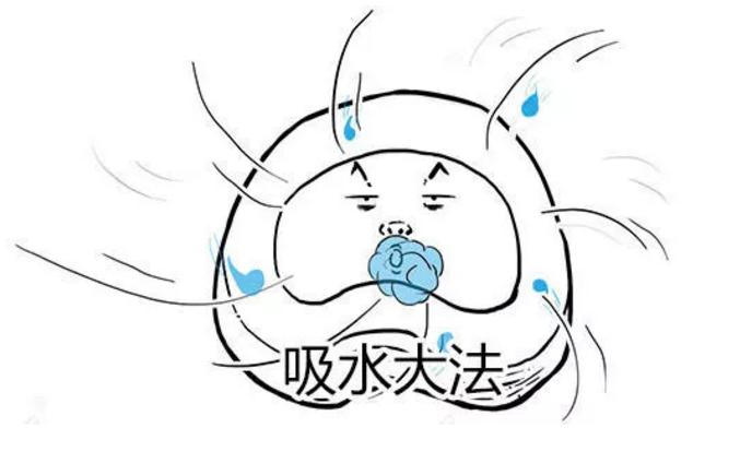 此文章让你彻底明白什么是:腰间盘突出