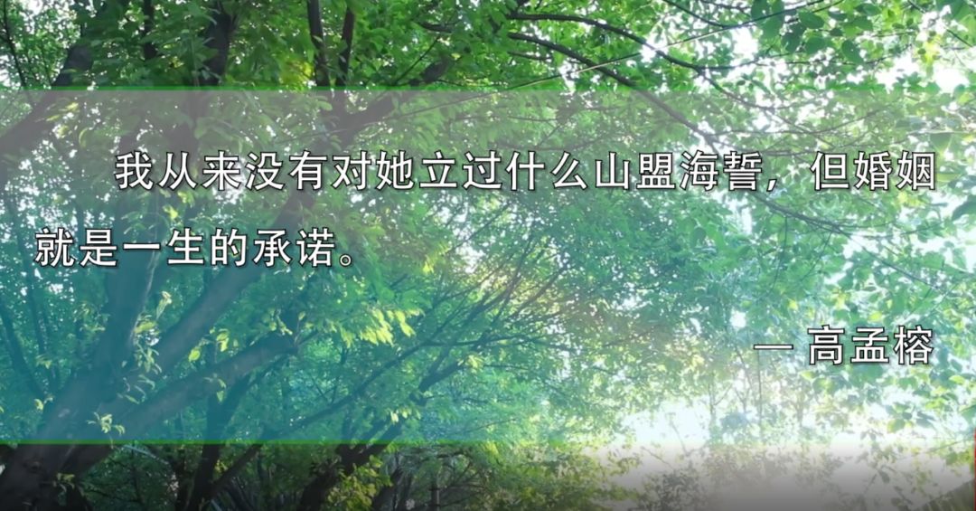 妻子昏迷十年丈夫不离不弃,妻子植物人13年丈夫不离不弃照顾