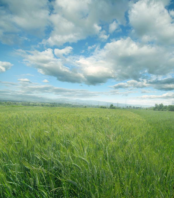 ps教程图层混合式模式讲解,ps图层混合模式的用法教程