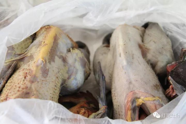 东达山杀猪烩菜几号开始,内蒙杀猪烩菜配什么凉菜