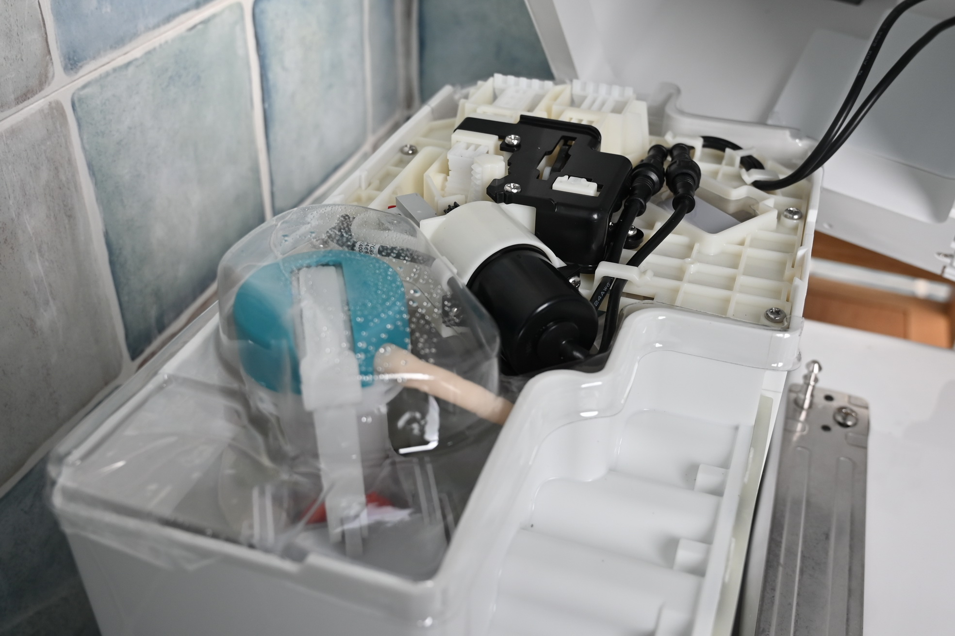 保卫菊花，从马桶做起——水鹿大鲸一体自动马桶使用感受