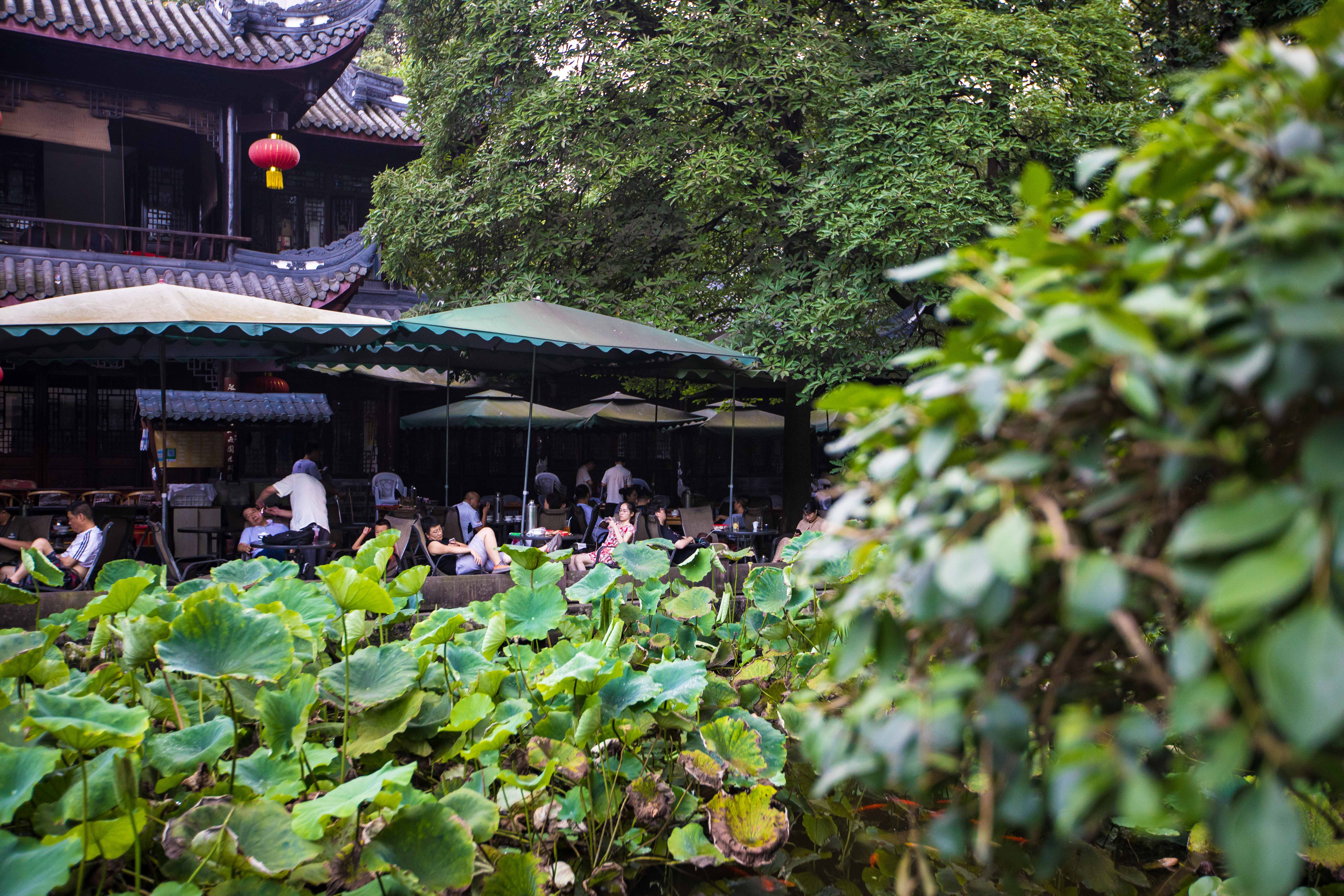 掏耳成都体验视频,成都掏耳朵真的假的