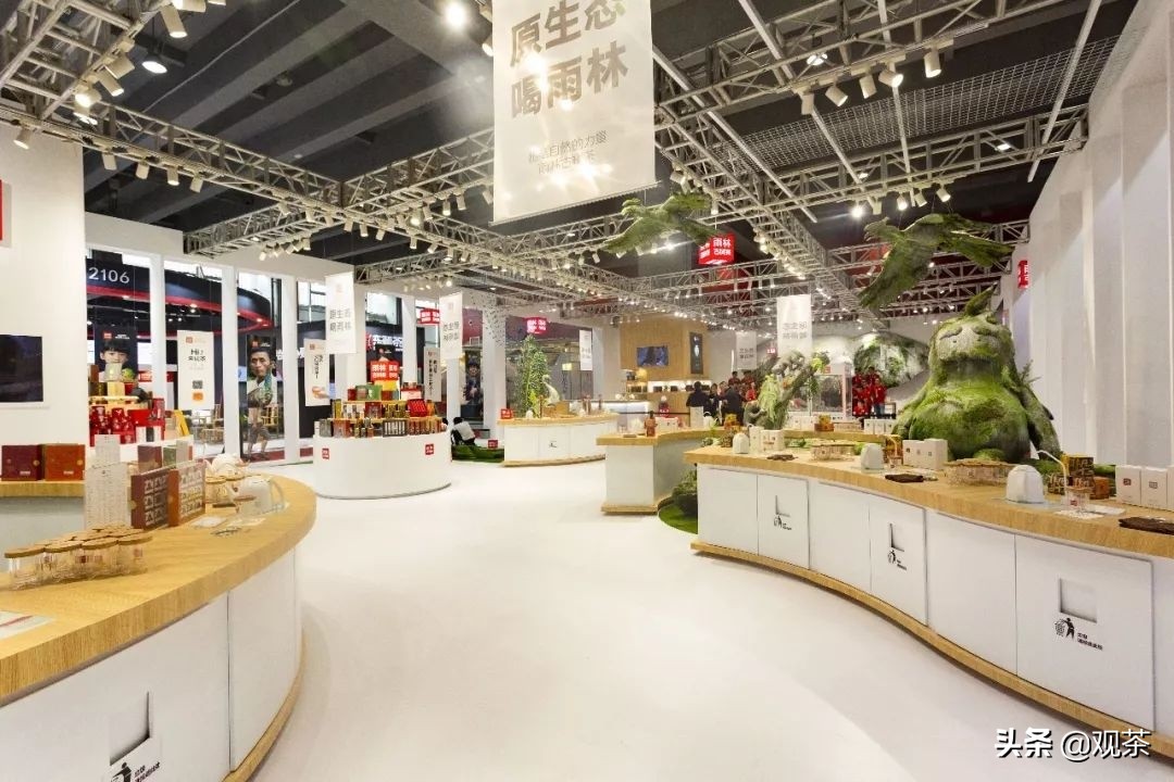 茶界创新还要看雨林