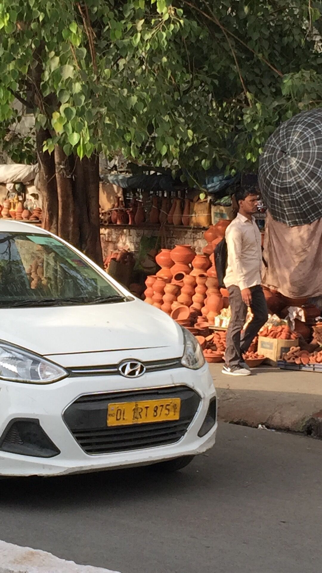 印度见闻17分钟,印度见闻2019