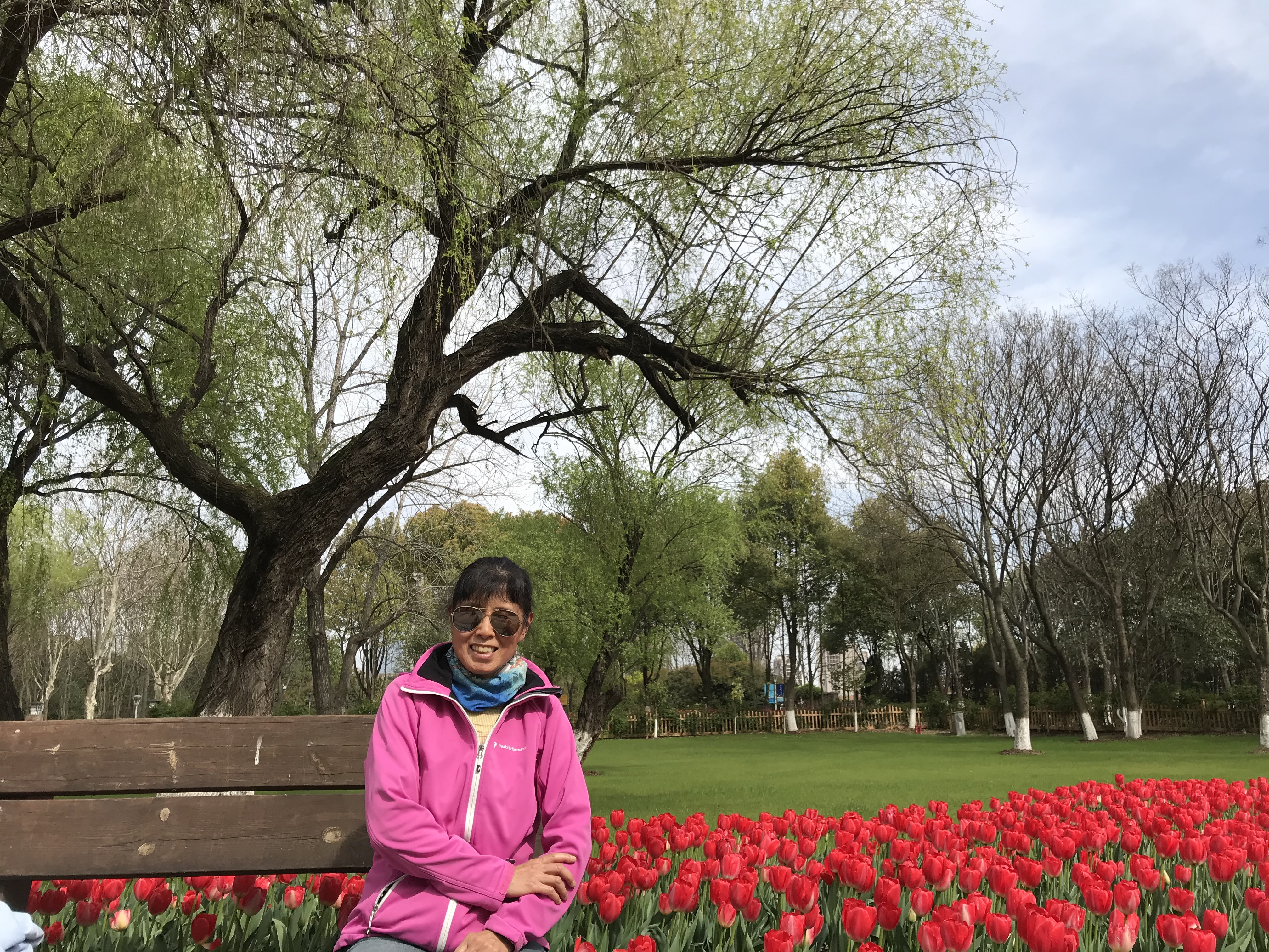 荷兰风情花园,南京绿博园的美丽