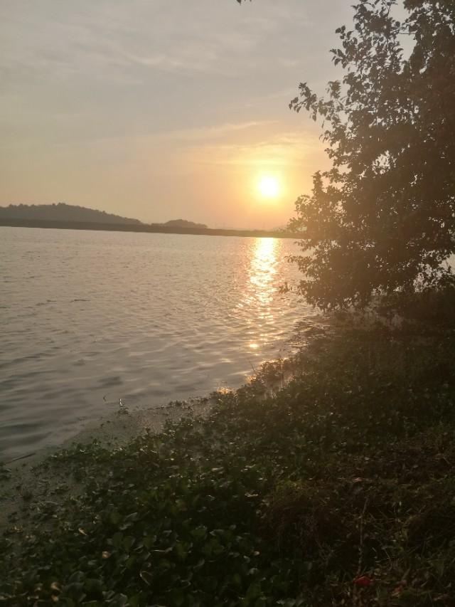 六旬老汉河边钓鱼视频,老汉钓鱼视频集锦