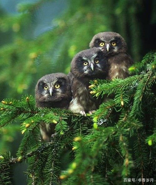 孩子怕黑最佳治疗方法,孩子怕黑心理疏导