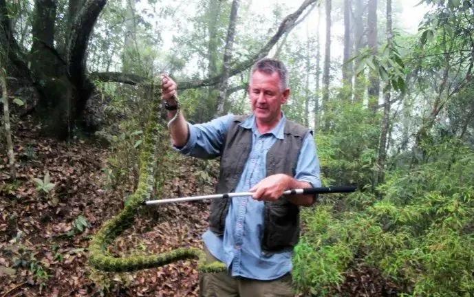 又稀有又毒又贵的蛇,黑背蛇多少钱一条