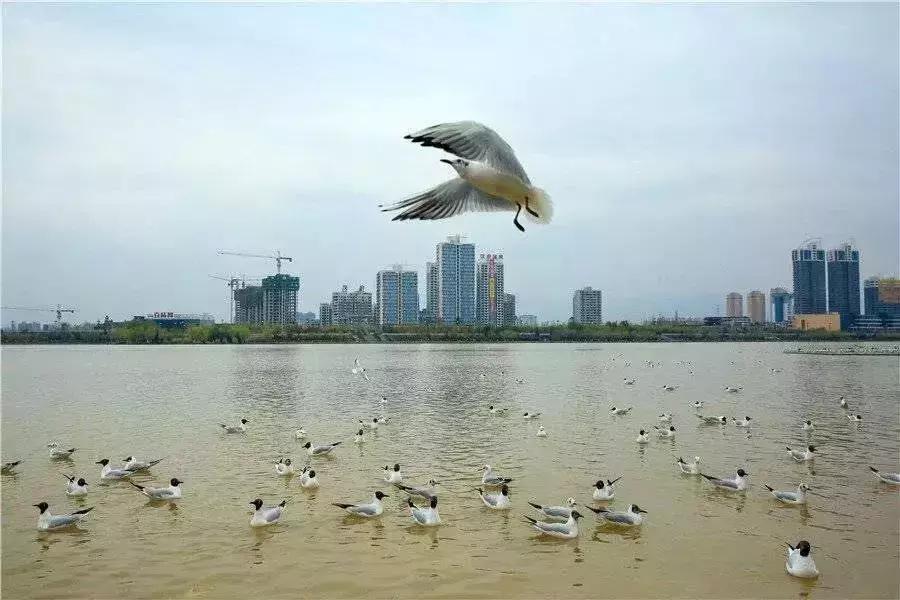 汉台半日游,汉台区一日游