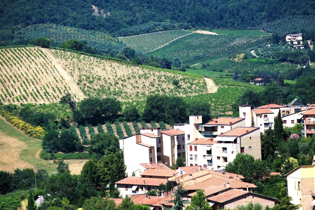 意大利最好的葡萄酒小镇,世界著名的葡萄酒小镇