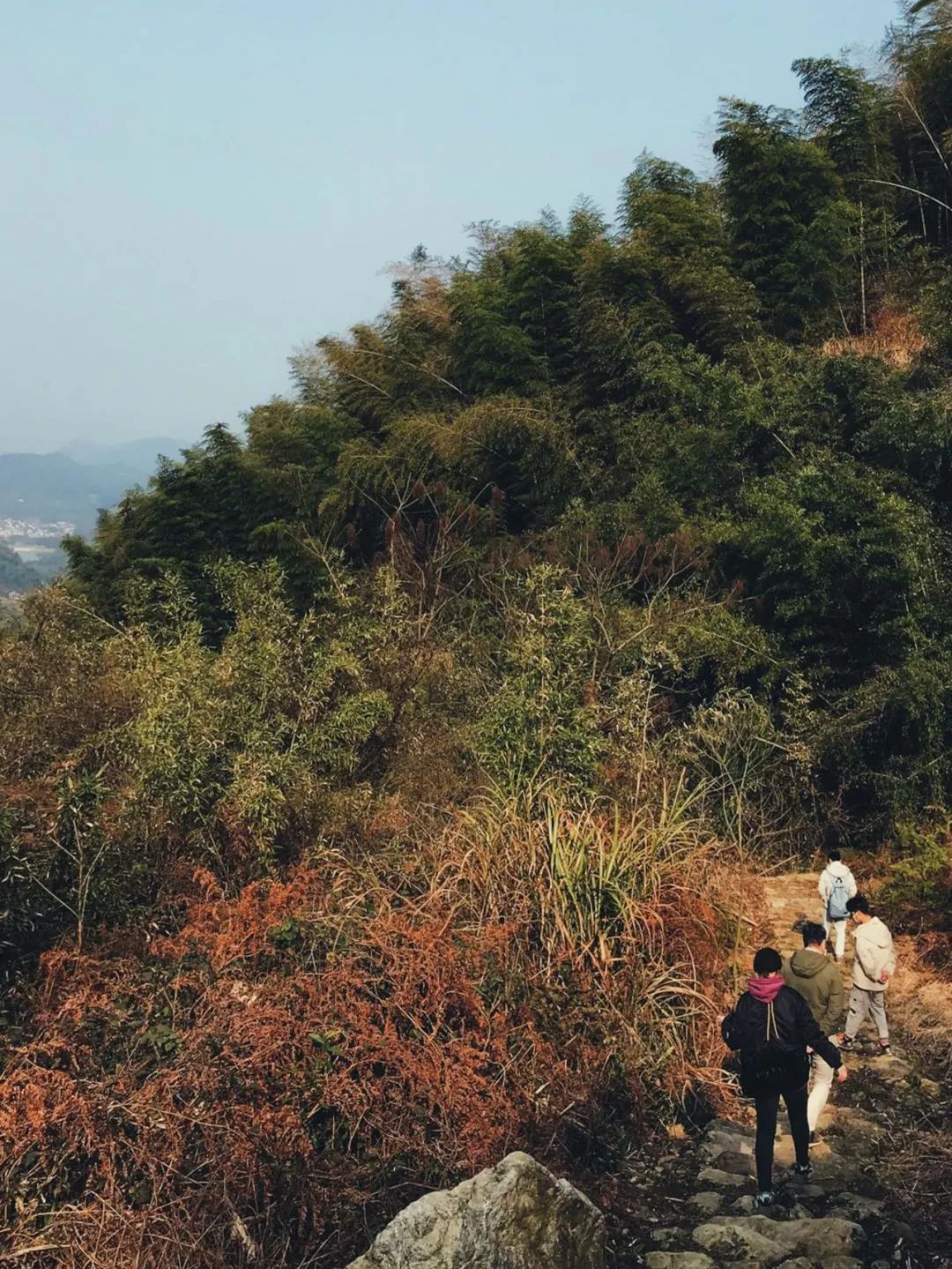 疫情解封后报复性消费的行业,疫情之后会出现消费狂潮么