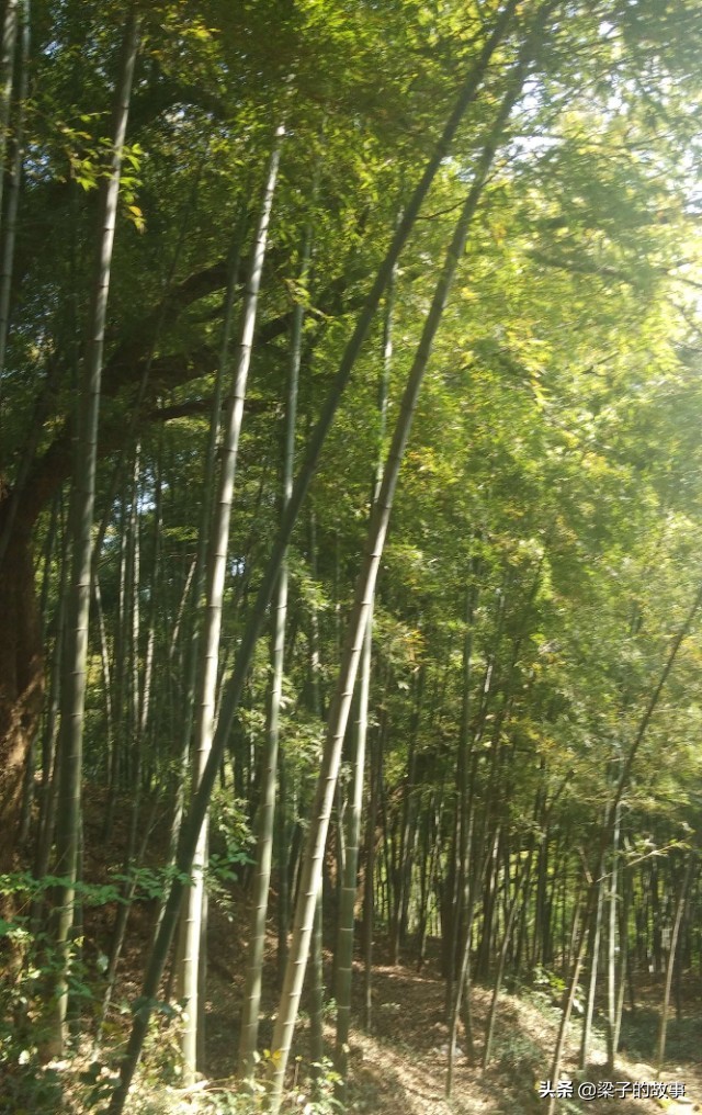 杭州市萧山区湘湖旅游攻略,湘湖旅游攻略一日游最佳路线