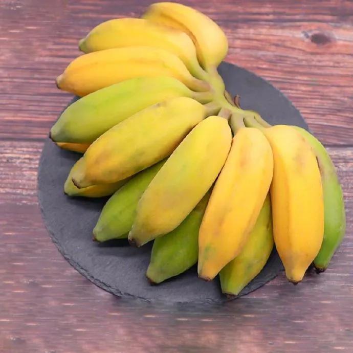 香蕉芭蕉米蕉哪个好吃,香蕉芭蕉还有什么蕉