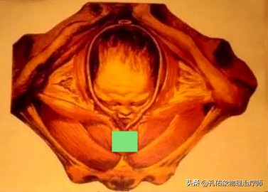 生过孩子女生体验分娩痛,生过孩子的女人老是腰痛