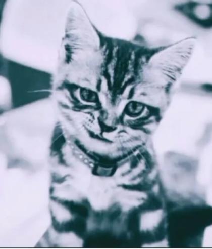 如何*载下**百度搜索推广软件，去掉广告，-word