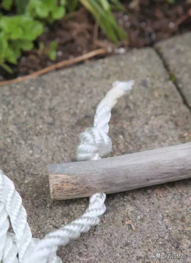 枯木再逢春老树发新芽,枯木再次逢春