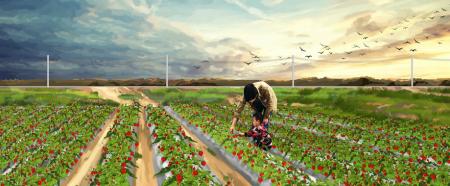 电线杆占用农田能讨要赔偿吗,电线杆子永久占用耕地怎样补偿